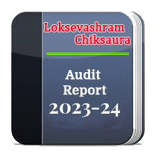 audit1